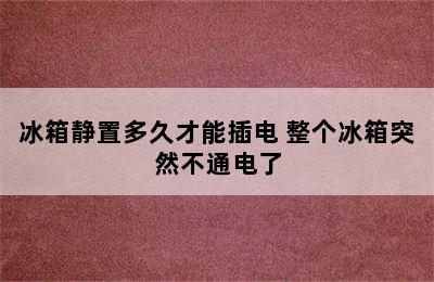 冰箱静置多久才能插电 整个冰箱突然不通电了